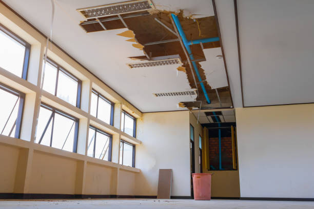 Best Flooded house restoration  in Burkburnett, TX