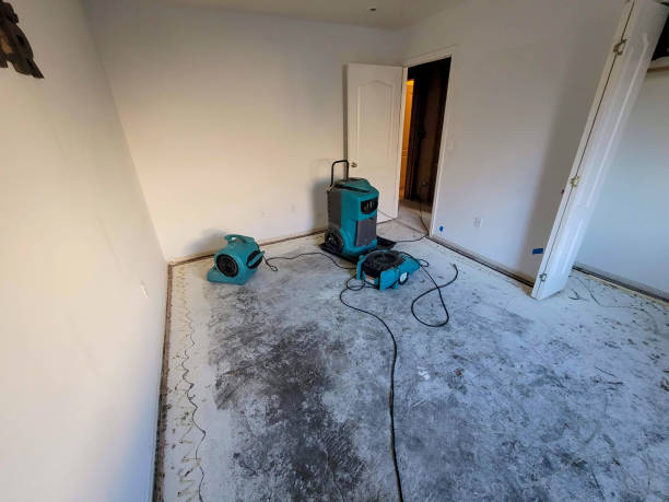 Best Water damage repair service  in Burkburnett, TX