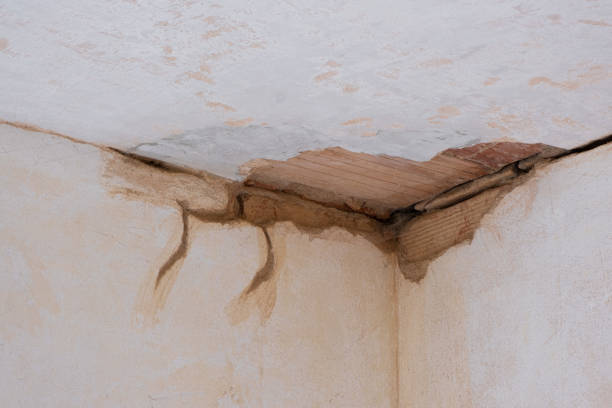 Best Water damage restoration mold remediation  in Burkburnett, TX