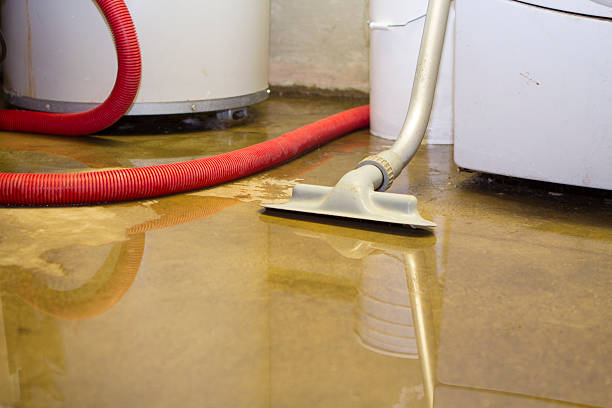 Best Sewage cleanup and water damage restoration  in Burkburnett, TX
